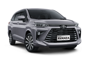 1-avanza-purplish-silver